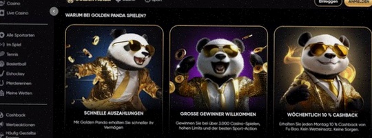 365 Casino Registratie Online