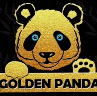 Holland Casino Spellen Login NL