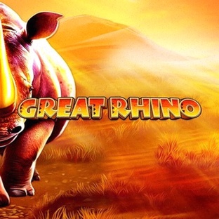 Eindhoven Casino app