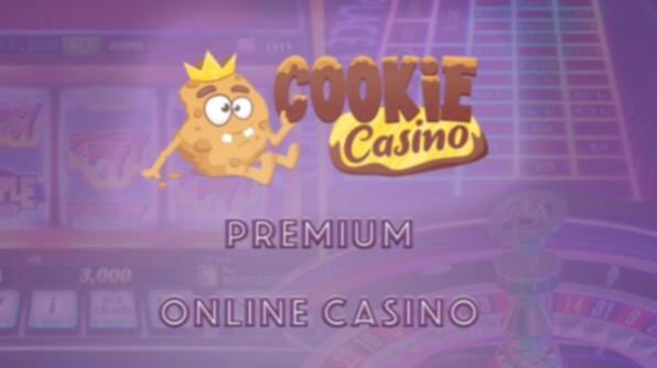 MyCasino NL App Interface