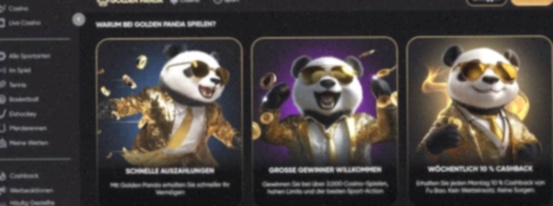 Spinanga Casino registratie