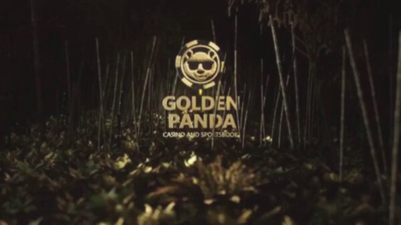 Trackcasino Betaalmethoden Overzicht