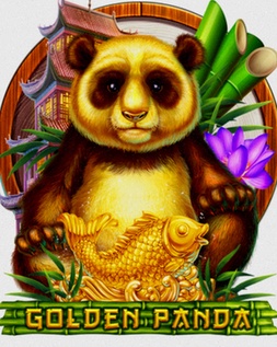 Hollandcasinoonline Online App